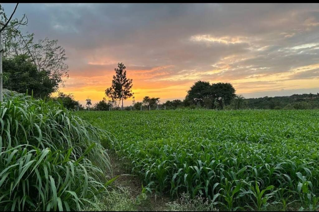 Sattva Farmstay Bangalore Bagian luar foto