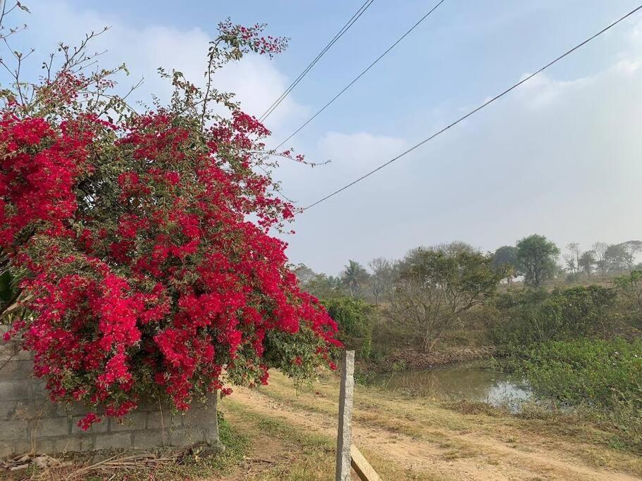 Sattva Farmstay Bangalore Bagian luar foto